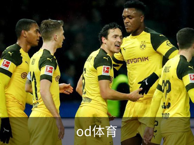 了解od体育